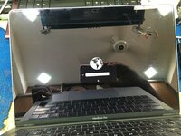 IMG_3659 (1).jpeg