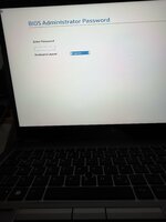 IMG_2971.jpeg